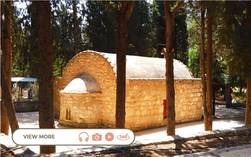 Mastic trees –– Precinct of Agia Marina-Geroskipou